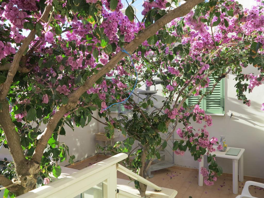 Casamare Hotel San Vincenzo Kamer foto